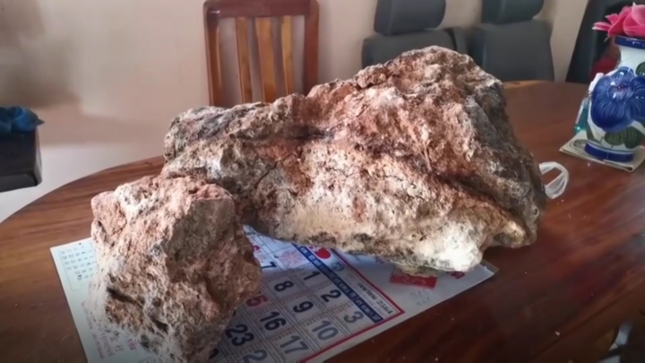 Video: Ngư dân bất ngờ kiếm được hơn 1 triệu USD từ chất nôn của cá voi