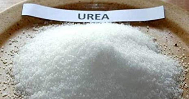 Khủng hoảng nguồn cung: Giá phân urê thế giới liên tiếp tạo nên các kỷ lục mới