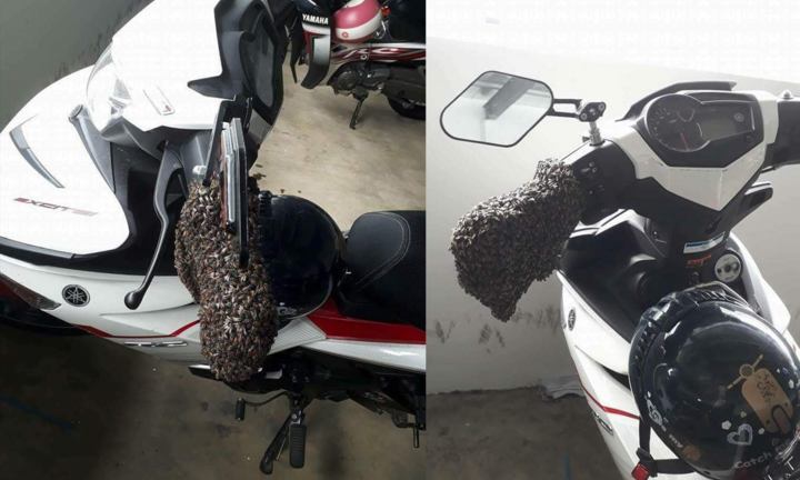 Hi hữu: Xe máy để lâu không chạy, đến ngày đi lại gặp cảnh 'khóc thét' thế này