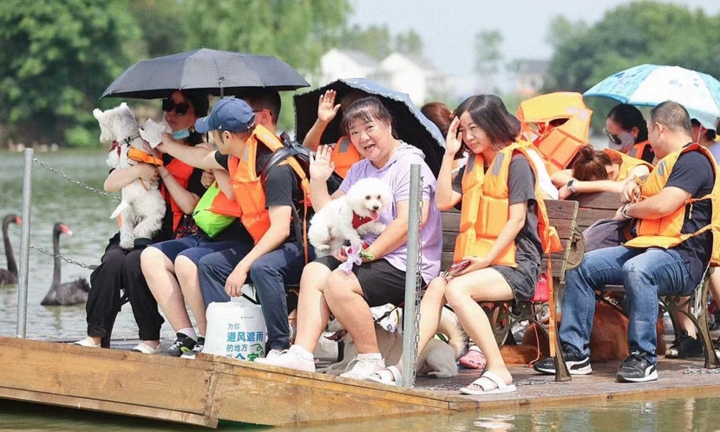 Trào lưu đưa thú cưng đi du lịch ở Trung Quốc