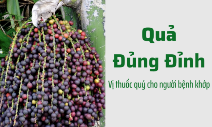 Sự thật bất ngờ về loài cây đủng đỉnh với người thoái hóa xương khớp