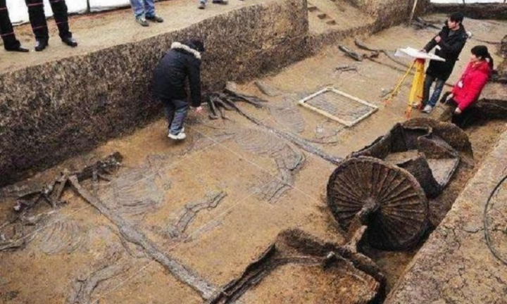 Xe ủi vô tình lật tung mộ cổ, cảnh tượng hãi hùng lộ ra, bí ẩn danh tính chủ mộ