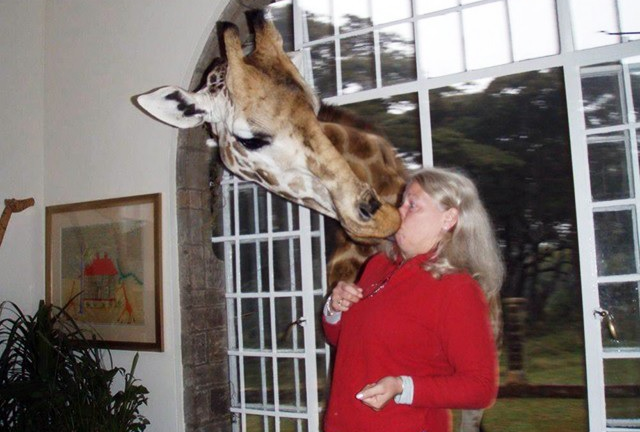 Thuê bác sĩ hôn vợ 