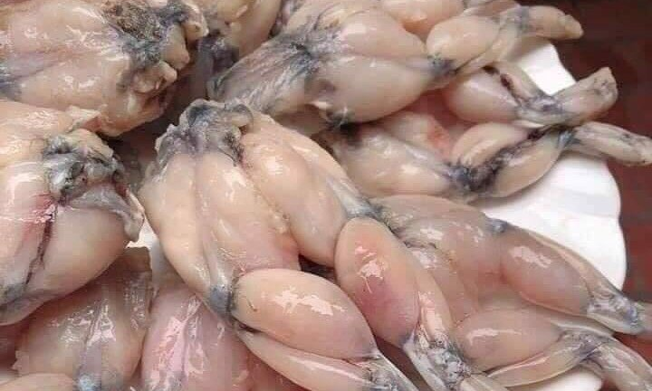 Đùi ếch, bưởi Việt Nam bị cảnh báo về an toàn thực phẩm