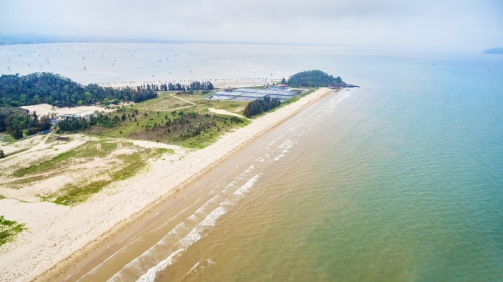 Flamingo 'khoác áo mới' cho biển Hải Tiến