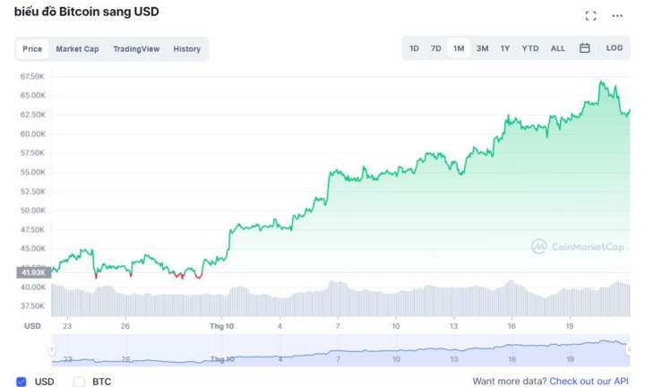 Bitcoin tăng giá nhưng nhiều nhà đầu tư Việt không vui