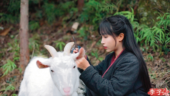 Tên tuổi Lý Tử Thất giúp 'ông chủ' kiếm bộn tiền thế nào?