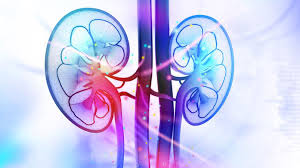 6 thực phẩm bồi bổ thận vừa tốt vừa rẻ: Người bị bệnh thận nên ăn thường xuyên