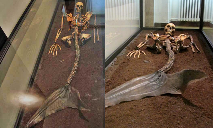 Phát hiện bộ xương nữ nửa người nửa cá, phải chăng ‘nàng tiên cá’ có thật?