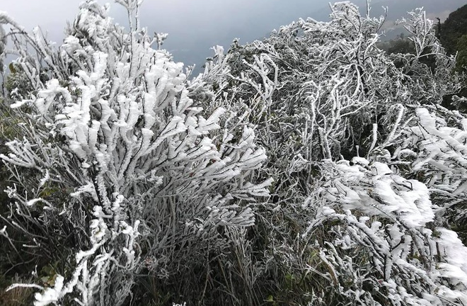 Miền Bắc sắp đón đợt rét sâu nhất từ đầu năm