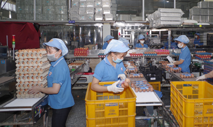 Công nhân trở lại TP.HCM làm việc, nhiều doanh nghiệp tăng ca chạy đơn hàng Tết