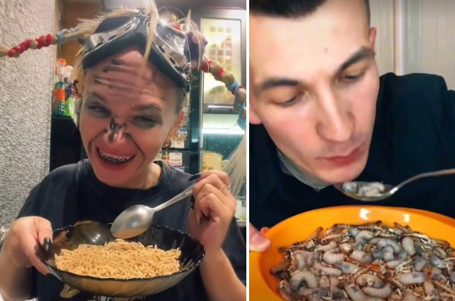 Đua nhau giả vờ ăn côn trùng để câu view trên TikTok