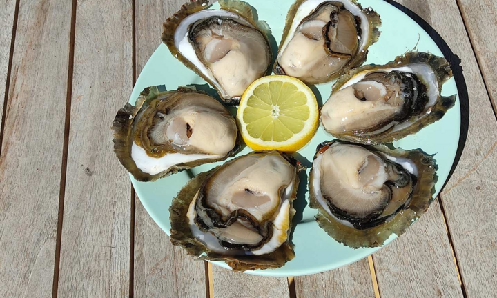 Hàu tăng sinh lực đàn ông, nhưng lại là 'thuốc độc' với một số người 