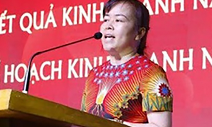 Nữ chủ tịch bị bắt, cổ phiếu Vimedimex giảm sàn 