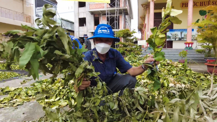 Video: Lương y bào chế thuốc xông tặng bệnh nhân COVID-19