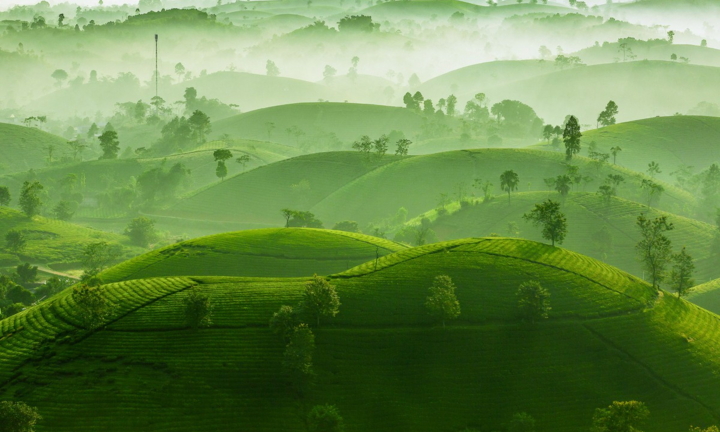 Nhiếp ảnh gia Bùi Việt Đức thắng giải Bạc quốc tế