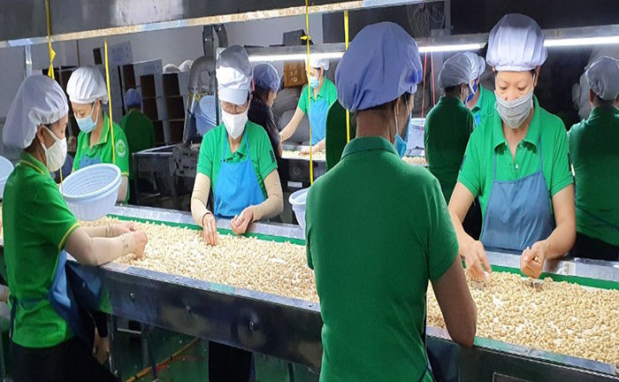 Ông lớn ngành rau quả lỗ nặng, âm sâu dòng tiền