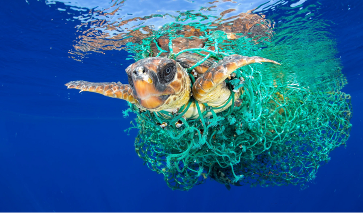 Hạt vi nhựa - hiểm họa khôn lường đối với đại dương