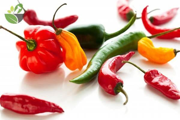 Ớt cực tốt nhưng cũng 