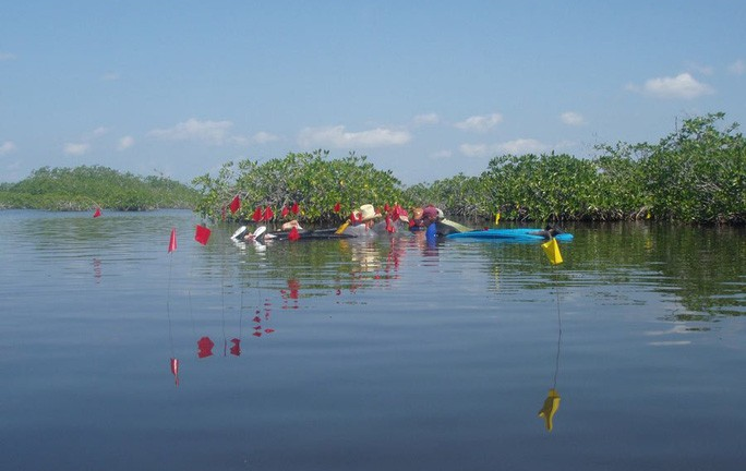 Kinh ngạc 'thế giới vượt thời gian' của người Maya giấu dưới đầm nước