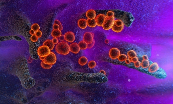 WHO đặt tên siêu biến chủng mới của COVID-19 là Omicron