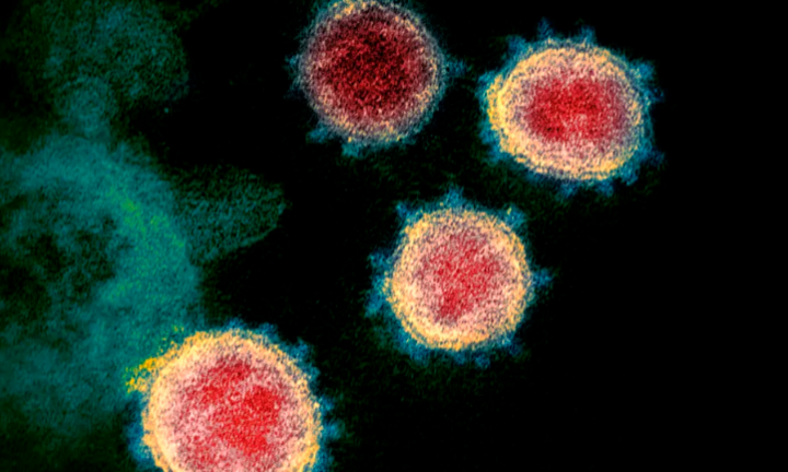 Delta chưa qua, Omicron đã tới: Thành quả chống dịch 2 năm 'đổ sông bể'?