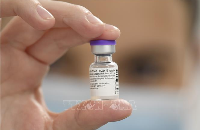 Các hãng dược tuyên bố cập nhật vaccine COVID-19 để chống siêu biến thể mới