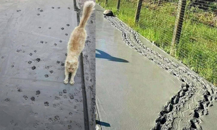 Hình ảnh khiến người bình tĩnh nhất cũng phải 'sôi máu' vì 'hội chuyên phá hoại'