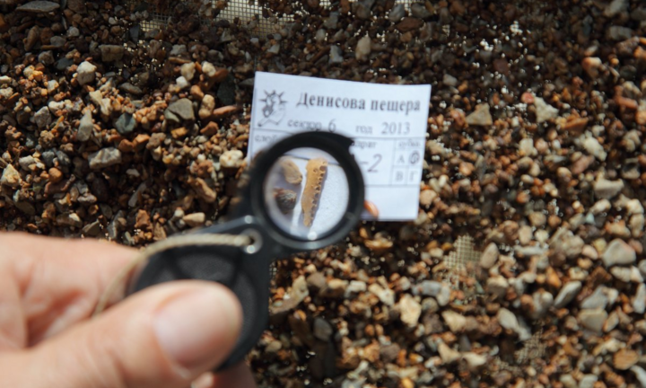 Phát hiện hóa thạch lâu đời nhất của dòng dõi loài người bí ẩn