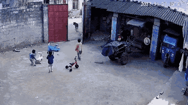 Video: Cậu bé 6 tuổi dũng cảm xua đuổi bò, bảo vệ em gái