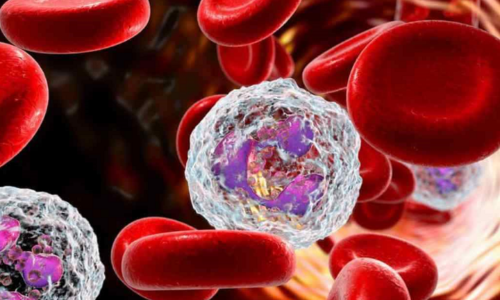 Dấu hiệu cảnh báo sớm của 13 bệnh ung thư phổ biến nhất: Nắm rõ để bảo vệ mình