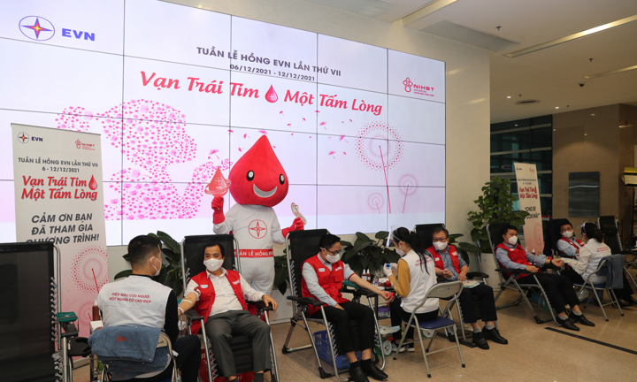 Phát động tuần lễ hồng EVN lần thứ VII: Vạn trái tim - Một tấm lòng