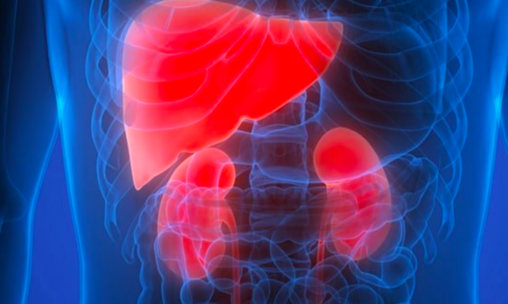 5 thói quen sai lầm 'ăn mòn' chức năng gan, thận: Nhiều người đang làm mỗi ngày