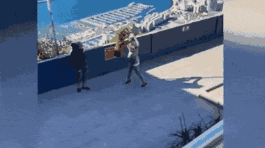 Video: Chú khỉ táo tợn giật túi xách của người phụ nữ