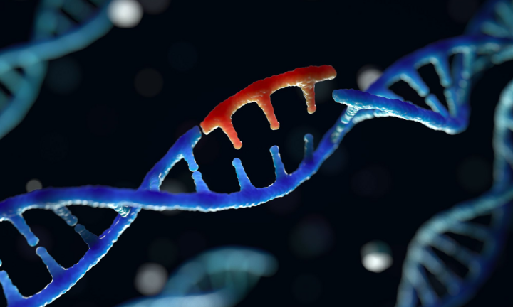 Video: DNA ngừng biến đổi, tương lai của loài người sẽ thế nào?