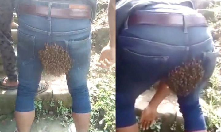 Đang yên lành, thanh niên đột nhiên bị bầy ong kéo đến làm tổ ngay... chỗ hiểm