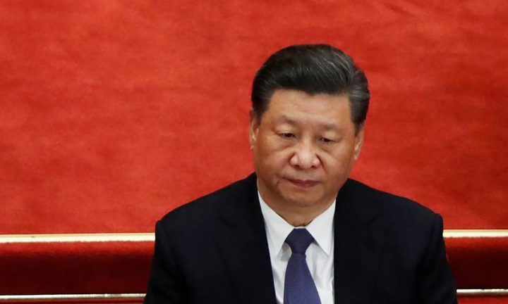 10 quan chức Trung Quốc bị trừng phạt vì chặt phá hơn 8.000 cây xanh