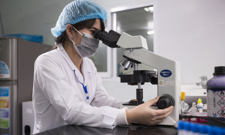 Đại học Quốc gia Hà Nội sẽ quy hoạch, mở mới một số ngành học