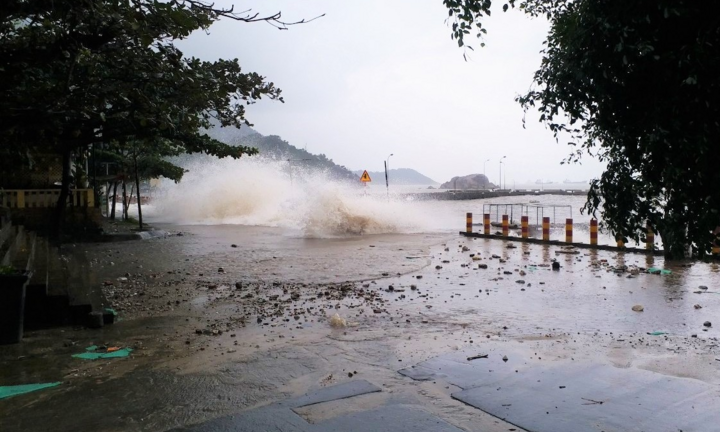 Bão Rai: Đảo Lý Sơn gió giật cấp 9, sơ tán gần 200 trăm hộ dân