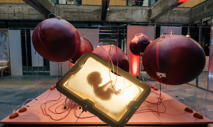 Không cần ‘mang nặng đẻ đau’, phụ nữ sẽ có máy ‘sinh’ con thay trong tương lai?