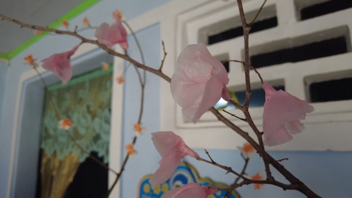 Video: Biến sáp nến, ruột khoai mì thành bông hoa ngộ nghĩnh