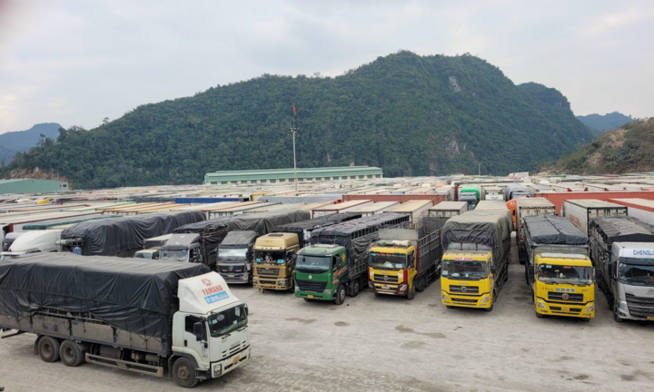 Thị trường tuần qua: Mất nghìn tỷ vì tắc biên, VinFast bàn giao ô tô điện VF e34