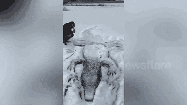 Video: Nông dân điêu khắc cá sấu dài 7m trên sông băng