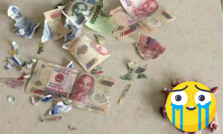 Cất tiền kỹ quá, cô gái khóc hận khi thấy hậu quả, phần ‘khuyến mãi’ nhìn mà tức