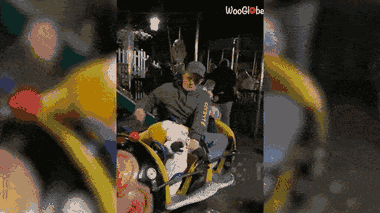 Video: Mắc kẹt trên ghế dành cho trẻ em, người bố loay hoay tìm cách thoát nạn