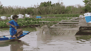 Video: Theo chân ngư dân đi vợt cá linh cuối mùa ở miền Tây