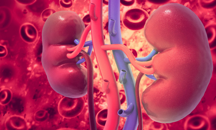 5 dấu hiệu cảnh báo thận đang tích tụ quá nhiều độc tố, hoạt động suy yếu