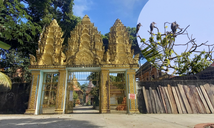 Ảnh: Ngôi chùa trăm tuổi ở miền Tây có đàn vạc đến ở nhờ hơn 2 thập kỷ