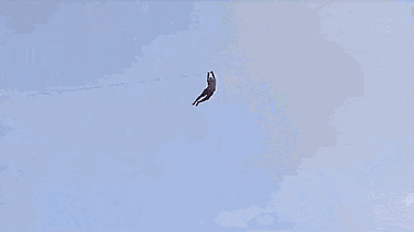 Video: Thanh niên đi thả diều bị gió cuốn bay như chim