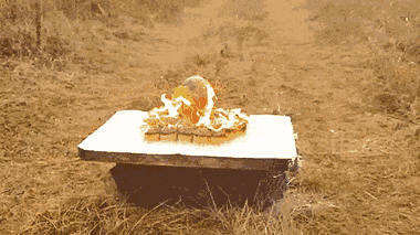 Video: Nướng trứng đà điểu bằng 12.000 que diêm